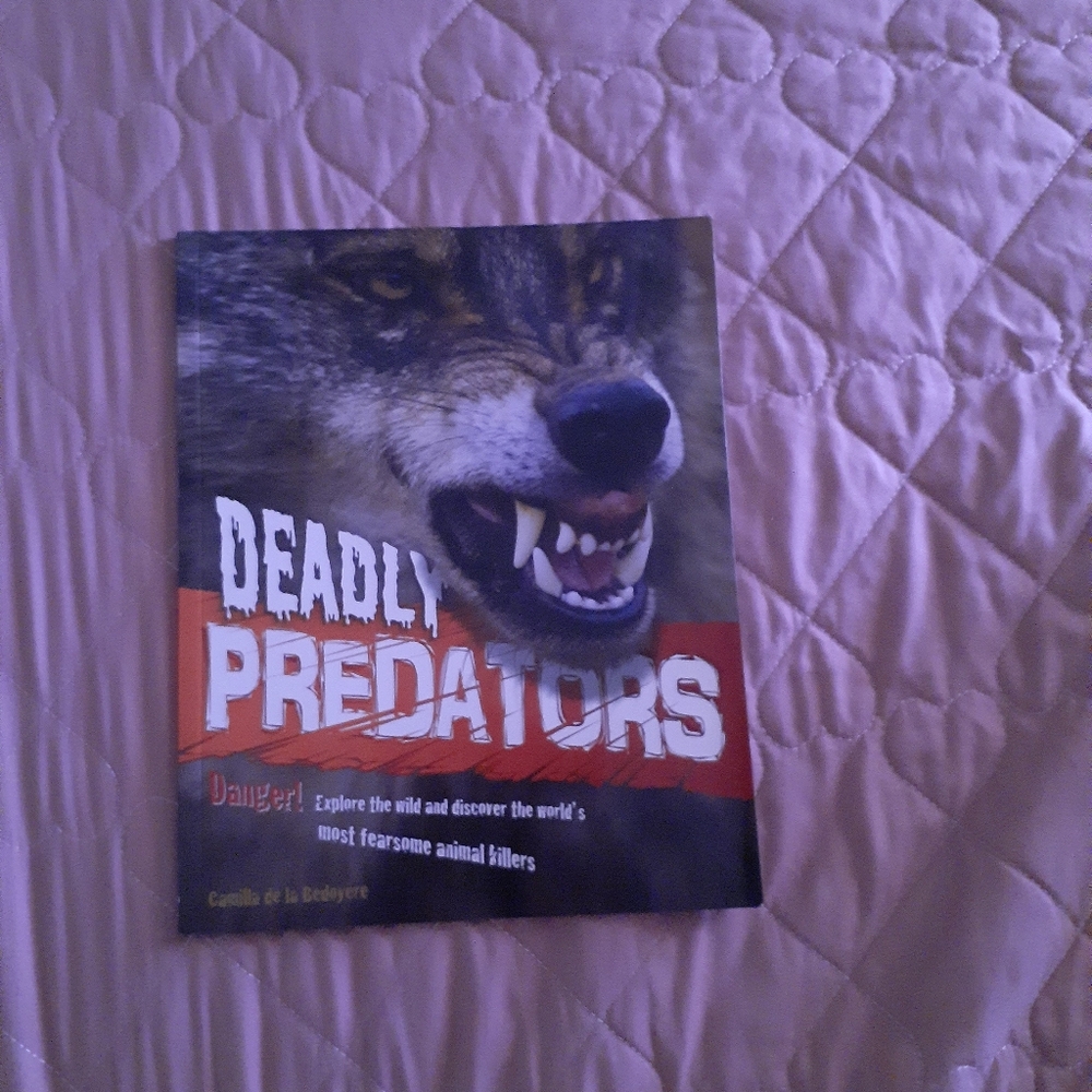 📚🎨 3/$15 Deadly Predators Book